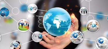 行业不断刷新，宠物店家如何玩转网络文化经营之道